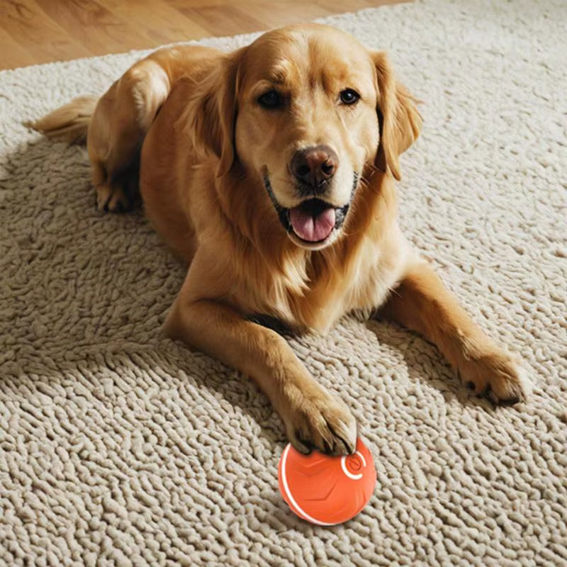 Interactive Dog Toy Ball Automatic Interactive Toy Pet Toy Ball USB Rechargeable Ball Thrower for Dogs Dog Enrichment Toys Pet