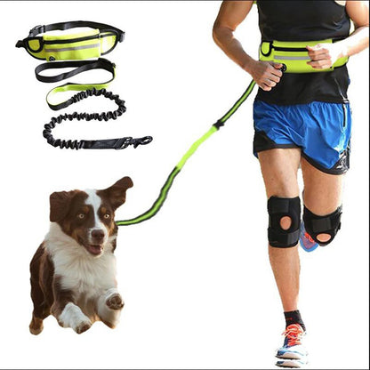 Hands Free Dog Leash Pet Walking and Training Belt with Shock Absorbing Bungee Leash for up to 180Lbs Large Dogs Phone Pocket and Water Bottle Holder